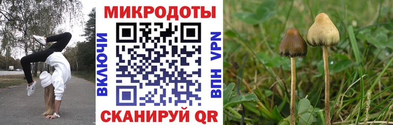 Купить  Сурск  Галлюциногенные грибы GOLDEN TEACHER 